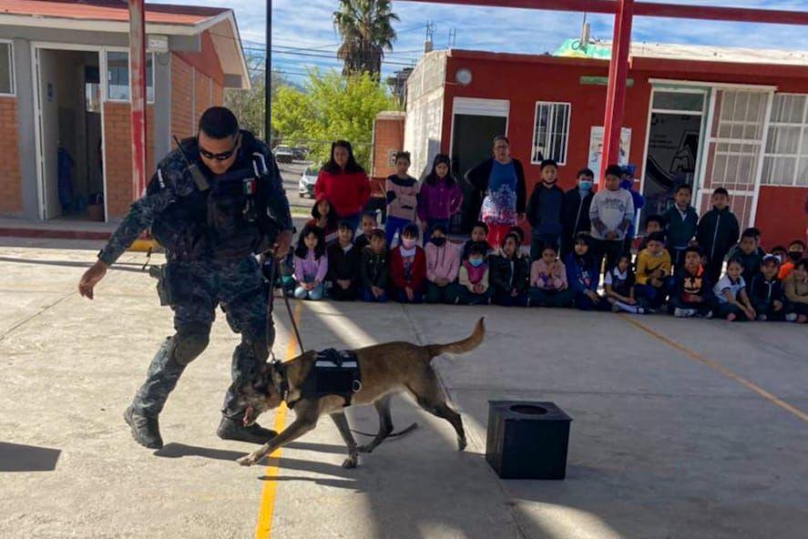 Visita perro policía primaria de Ramos