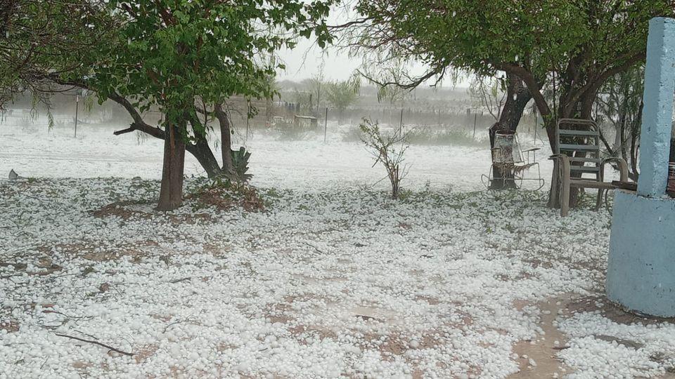 Azota granizada Coahuila; causa millonarias pérdidas