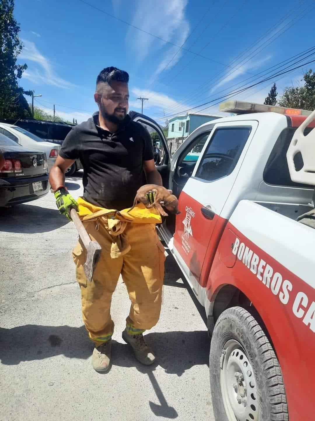 Rescatan bomberos a cachorro atrapado