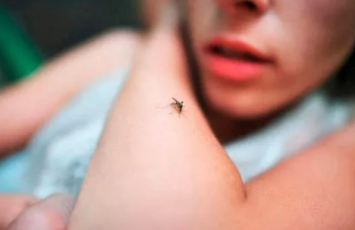 Detectan caso de malaria en migrante embarazada