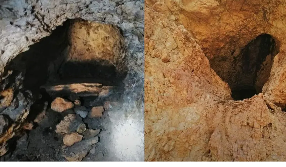 Localizan cráneo humano pero con colmillos en 4C