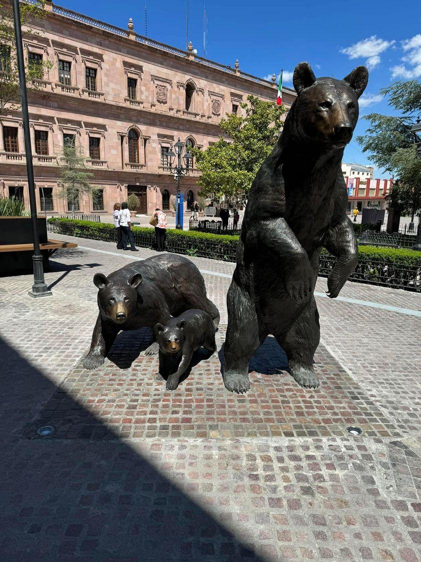 Se muda familia de osos al Paseo Capital