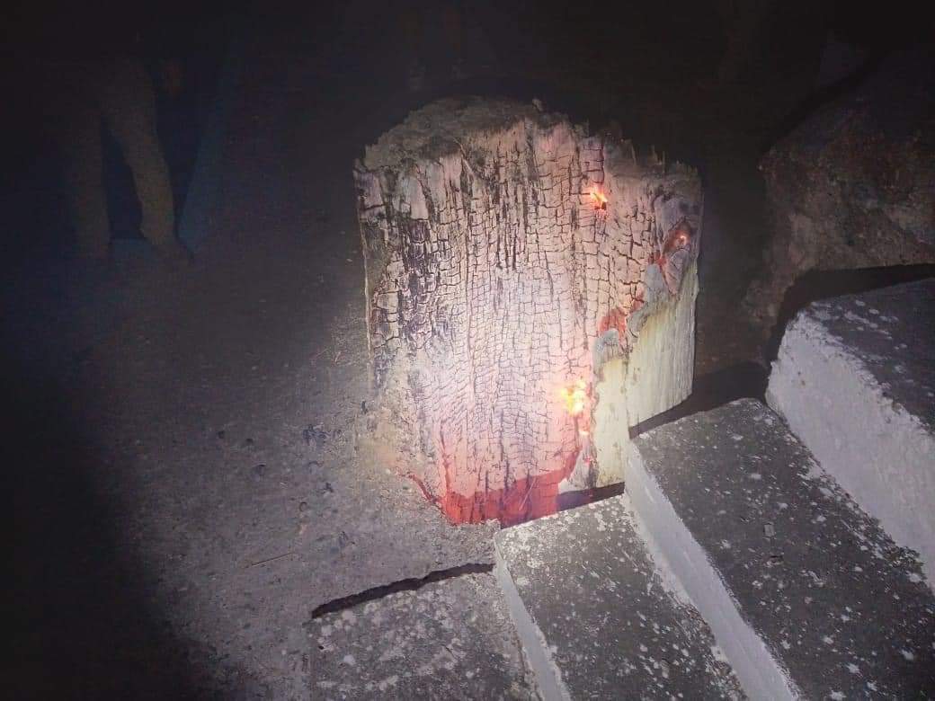 Incendian con santería antiguo árbol Sabino