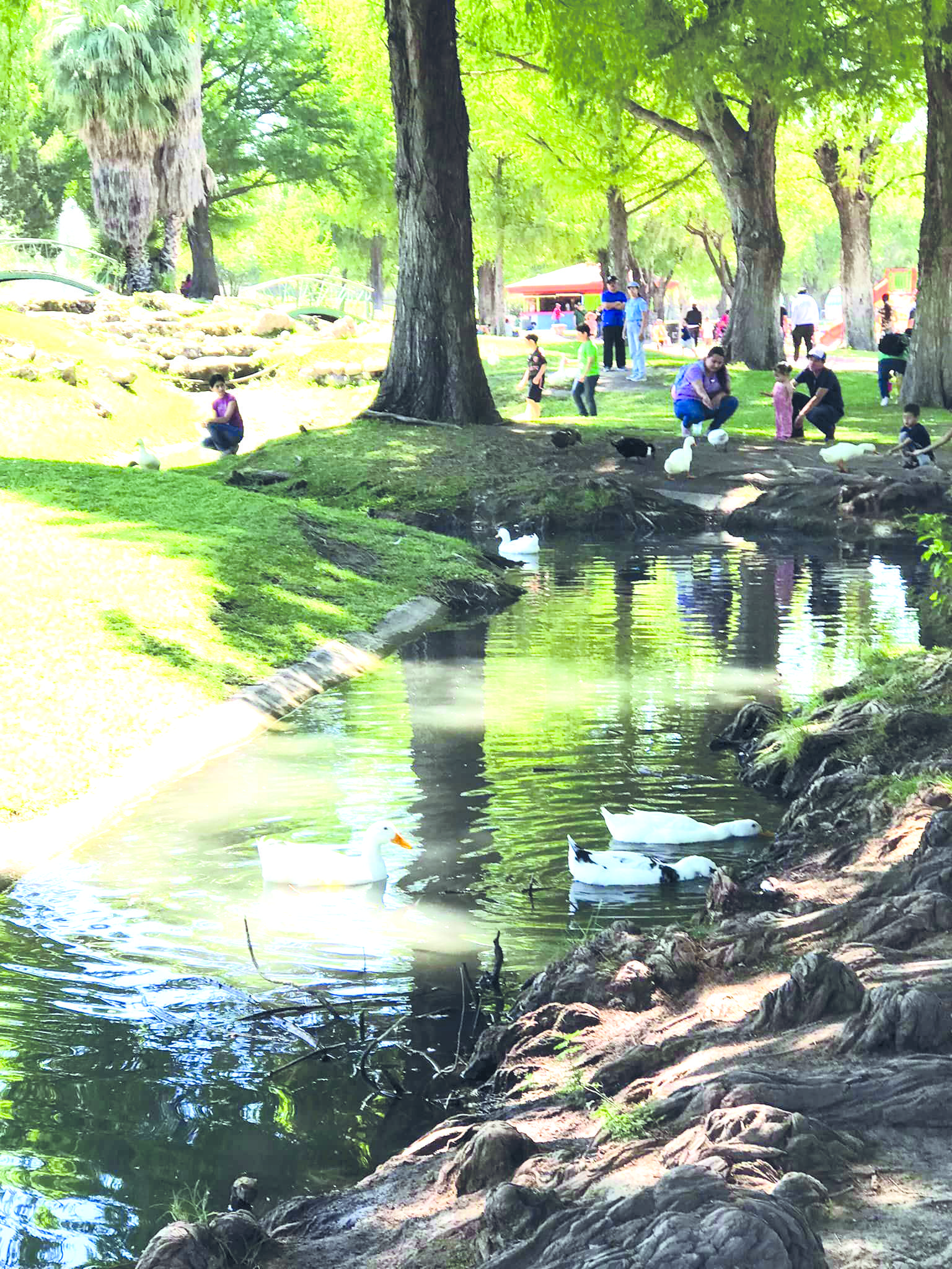 Abarrotan parques con turismo local