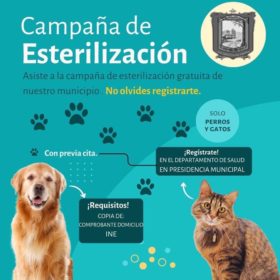 Invita San Buena a esterilizar mascotas