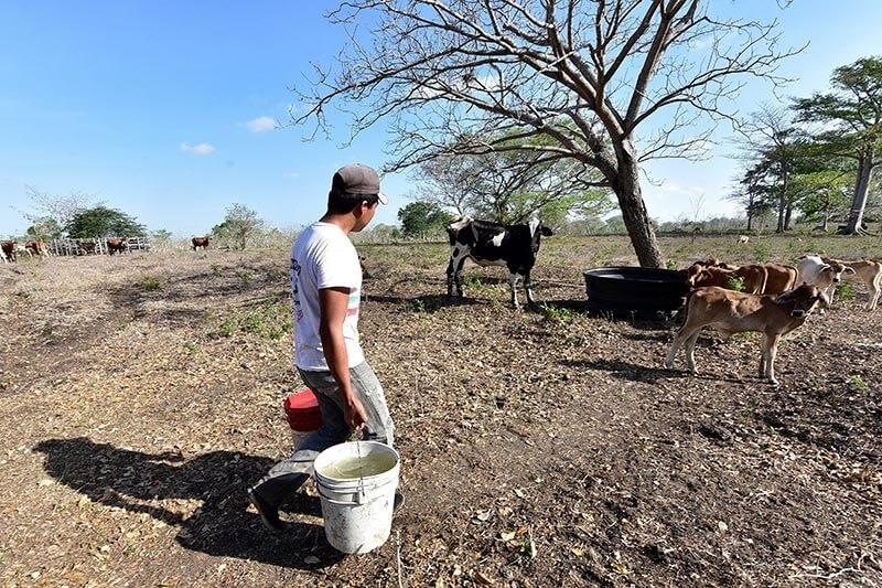 Impacta sequía a los ejidatarios