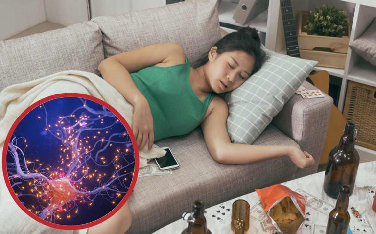 Si te da sueño cuando tomas alcohol debes saber que es por una reacción en tu cerebro