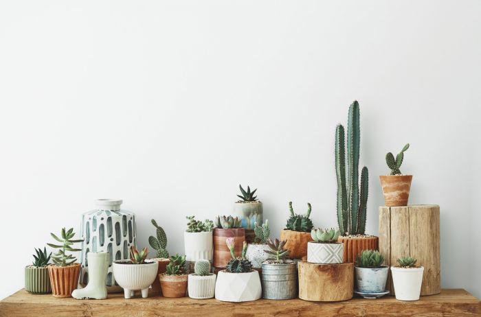 Adiós mala suerte: los 6 objetos que debes eliminar de tu casa para recuperar tu buena fortuna