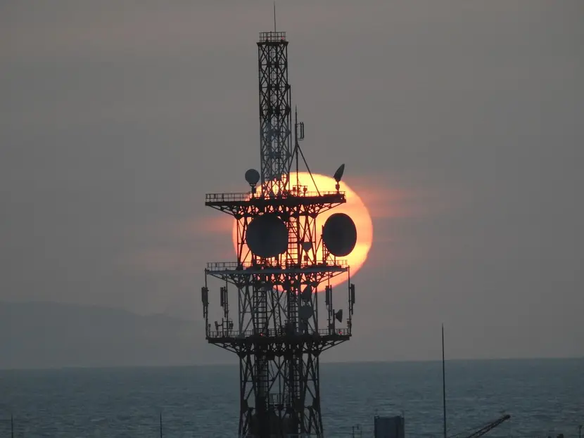 ¡Hermoso! Captan al ‘Panda del atardecer’ en Japón; graban VIDEO del momento