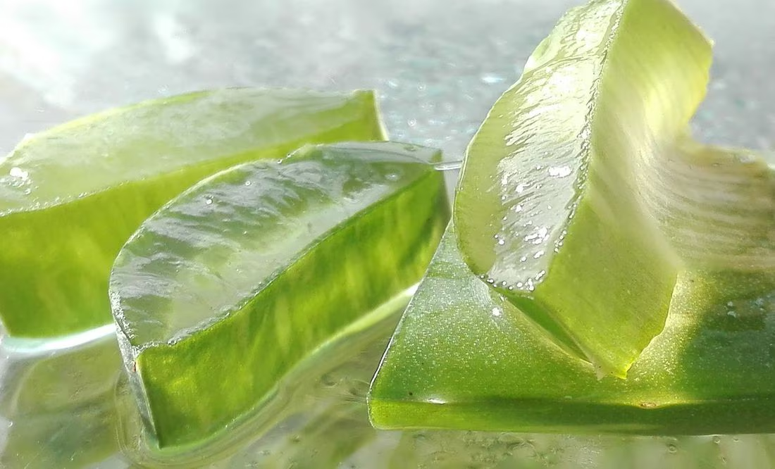Estimula la producción de colágeno con esta receta de sábila y romero