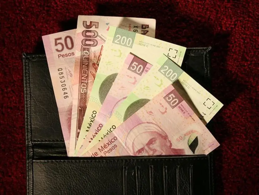 ¿Cuántas bacterias puede tener un billete?