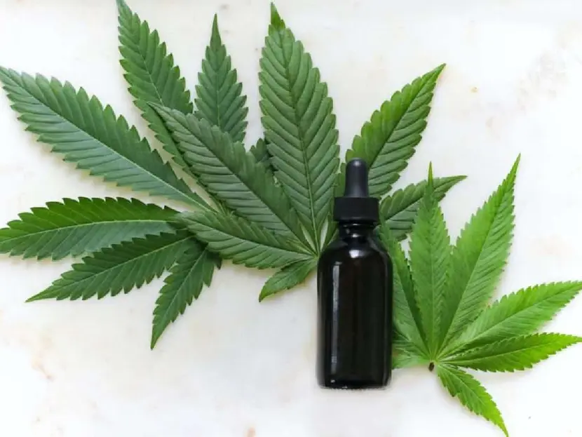 Productos de CBD no ayudan a aliviar el dolor y pueden ser tóxicos: estudio