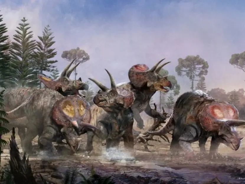 ¡Steven Spielberg tenía razón! Ciencia confirma que triceratops vivían en manadas