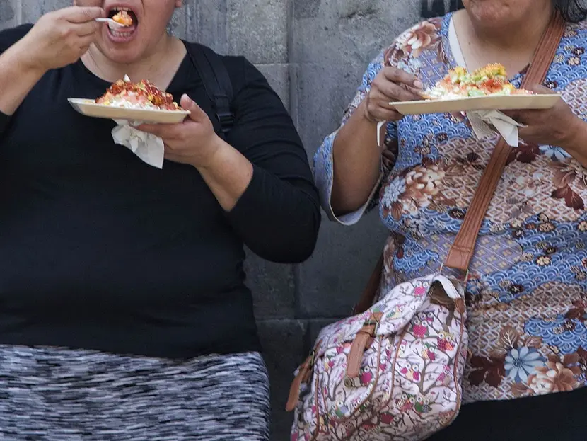 ¿Gorditos? Más de mil millones de personas de todo el mundo sufren obesidad