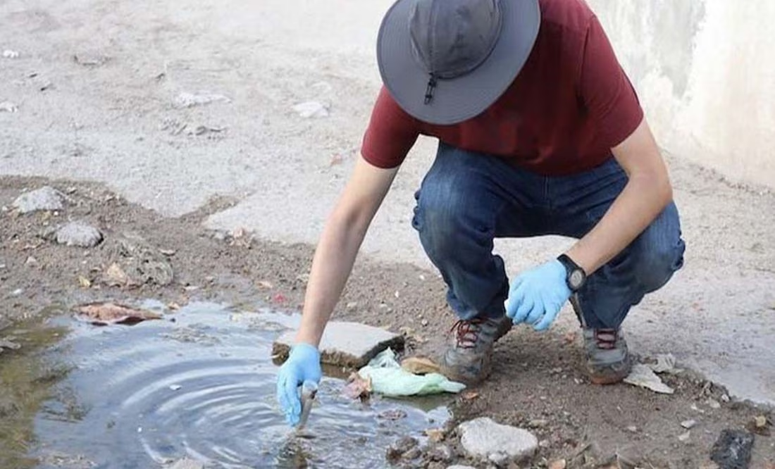Baja California Sur en alerta por bacteria; van cuatro muertes por melioidosis