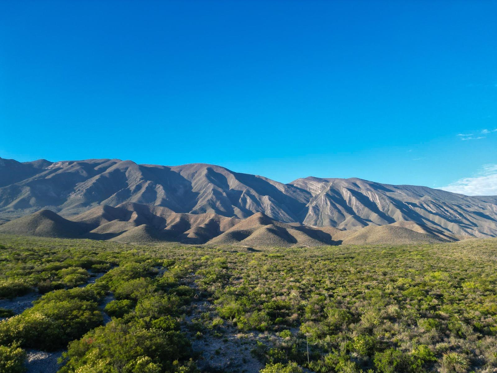 Buscan declarar ANP a la Sierra de Parras