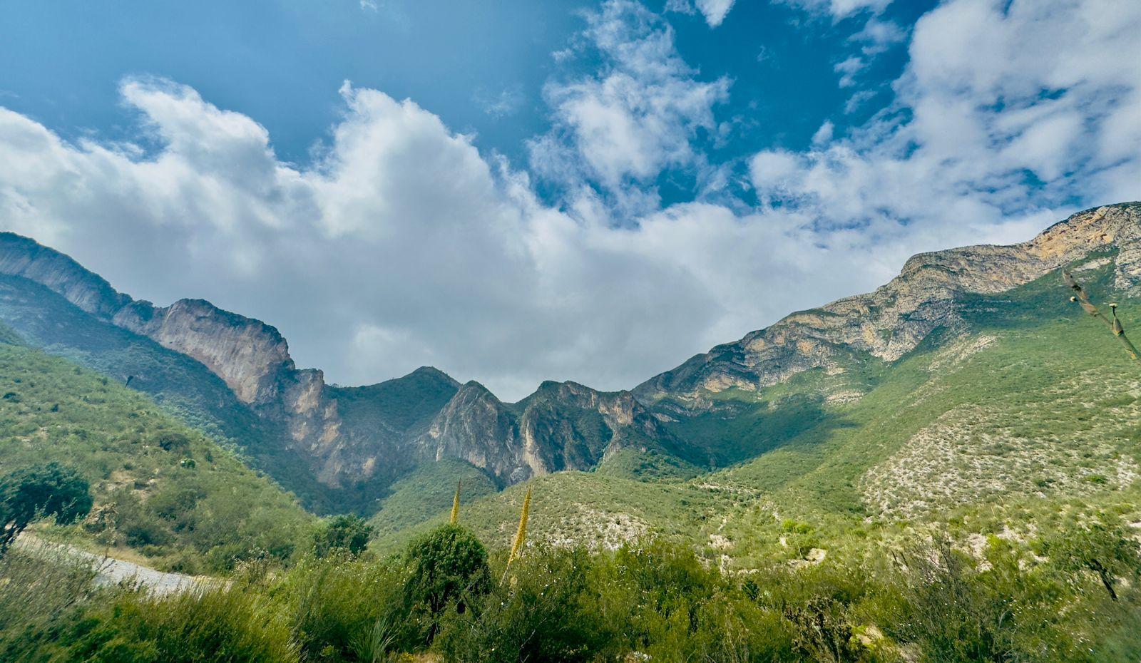 Cuidemos Zapalinamé: tesoro de Saltillo