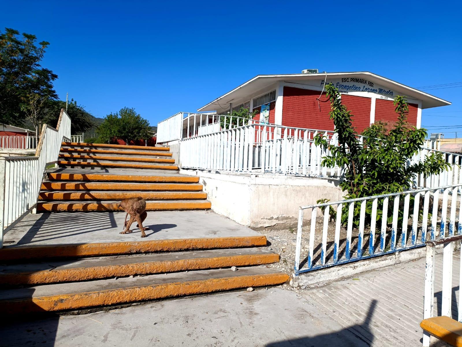 Por enésima ocasión vandalizan primaria