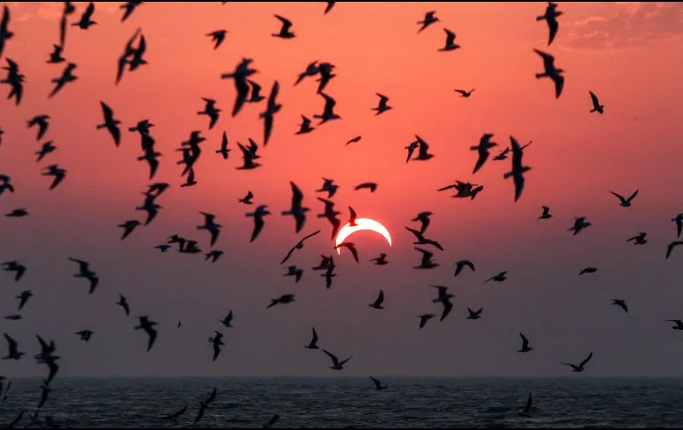 Todas las opciones para ver el Eclipse Solar 2024 en Internet