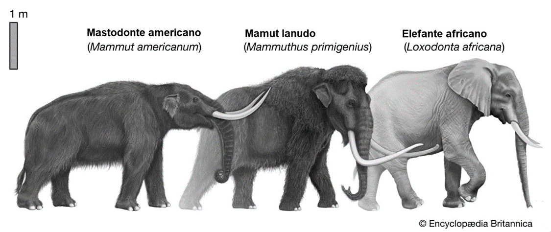 RESUCITAR AL MAMUT