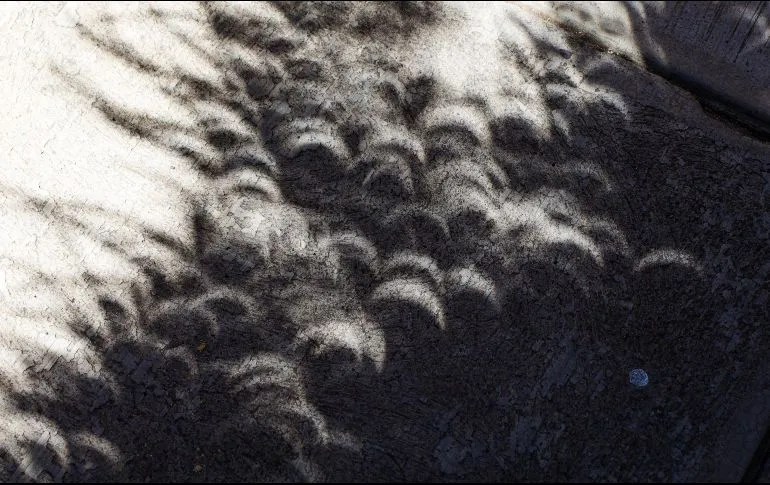 ¿Por qué se forman lunas en las sombras de los árboles durante el eclipse solar?