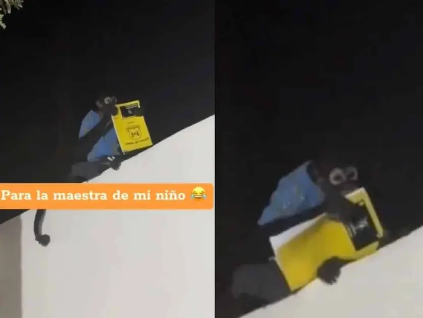 Changuito se roba la tarea de un niño en Culiacán, ¿Le creerá la maestra?