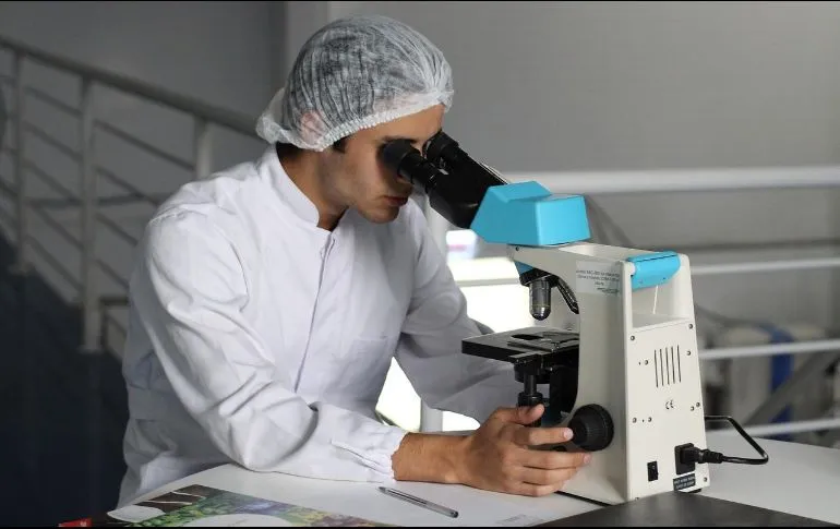 Científicos identifican las células que protegen las vías respiratorias