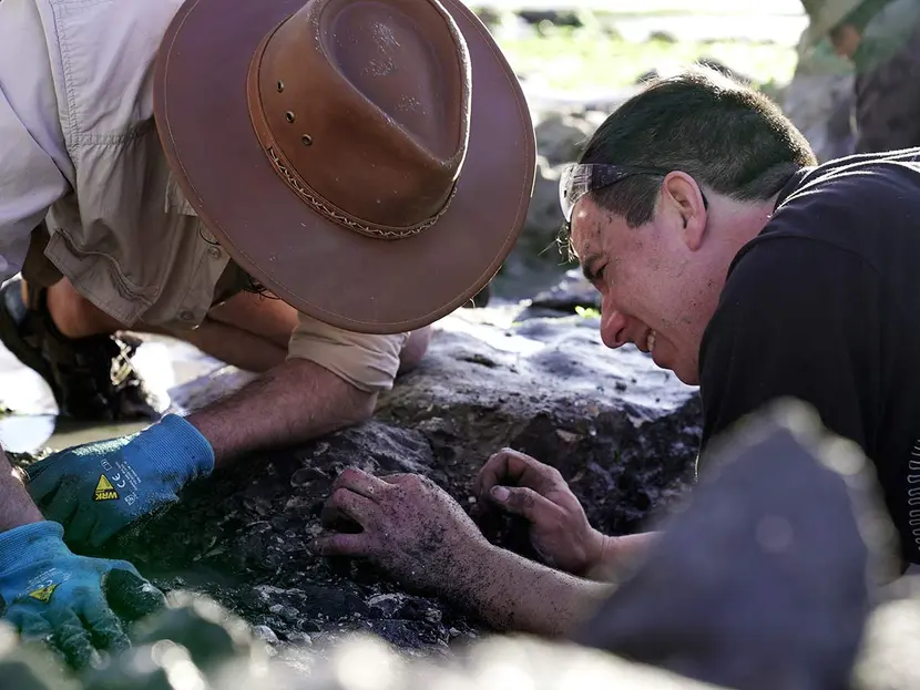 En el día de la tierra, descubren en Chile fósiles marinos de 70 millones de años