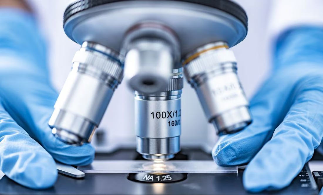 El tubérculo milenario que controla el funcionamiento de las hormonas
