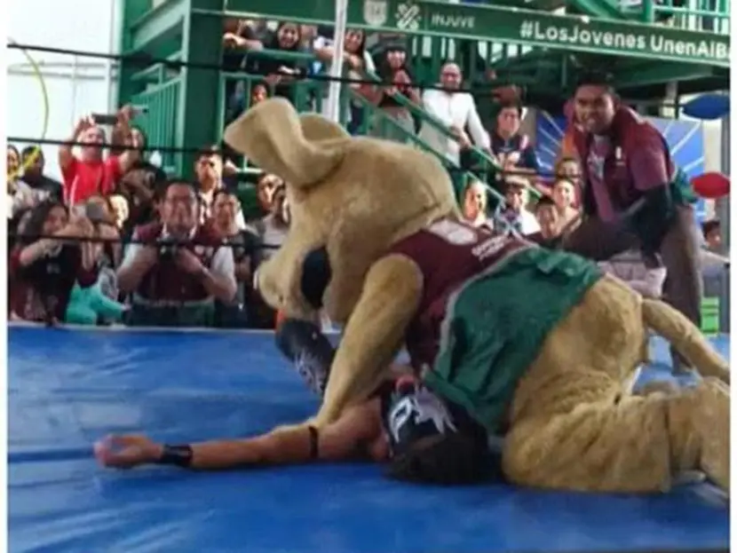 Perro Ron para el barrio, así conocen a Wisin, la botarga de Injuve que lució en el ring