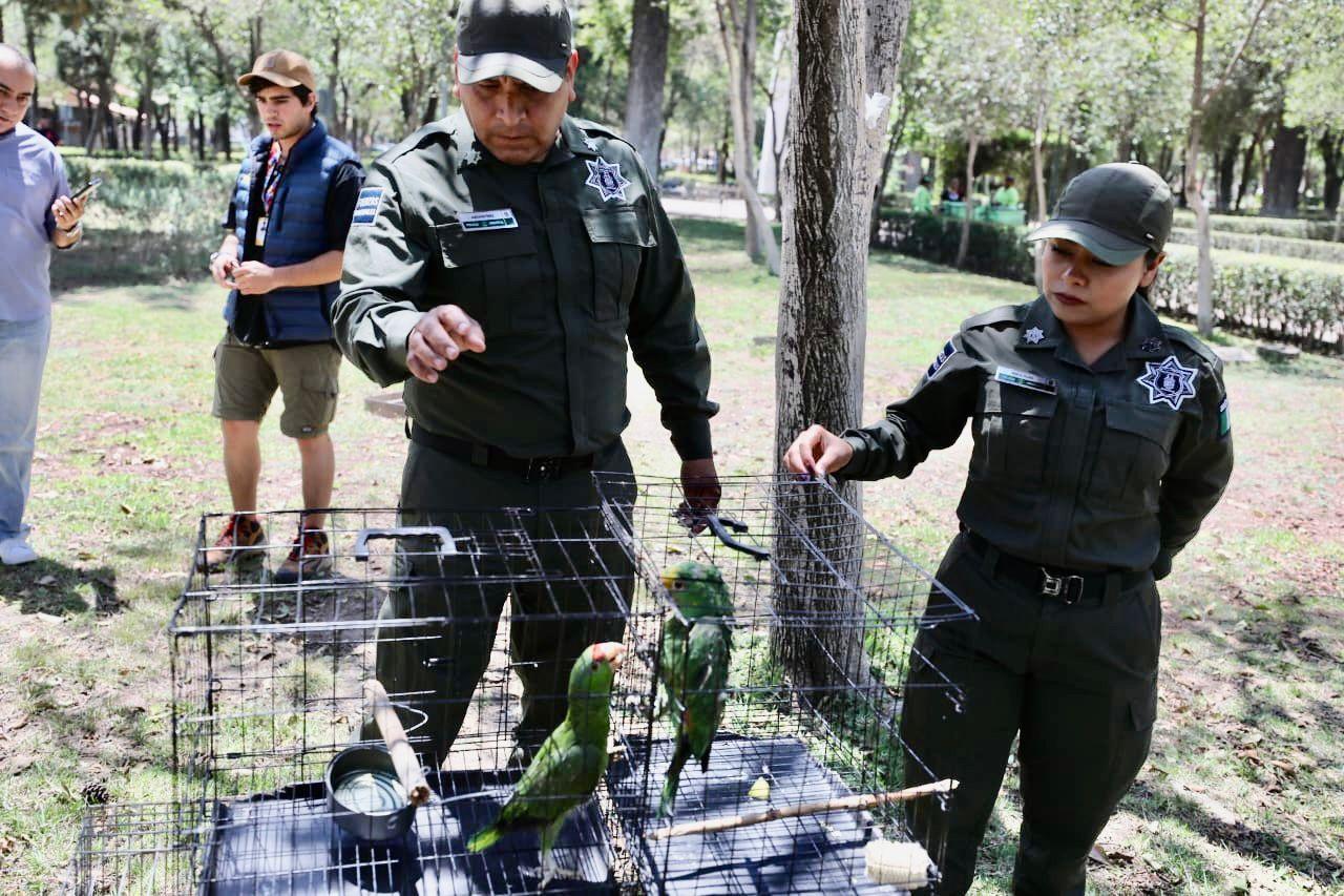 Libera Policía Ambiental aves afectadas por granizada