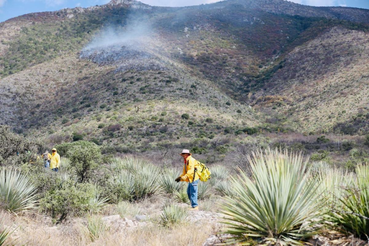 Retrasan equipamiento para detectar incendios forestales