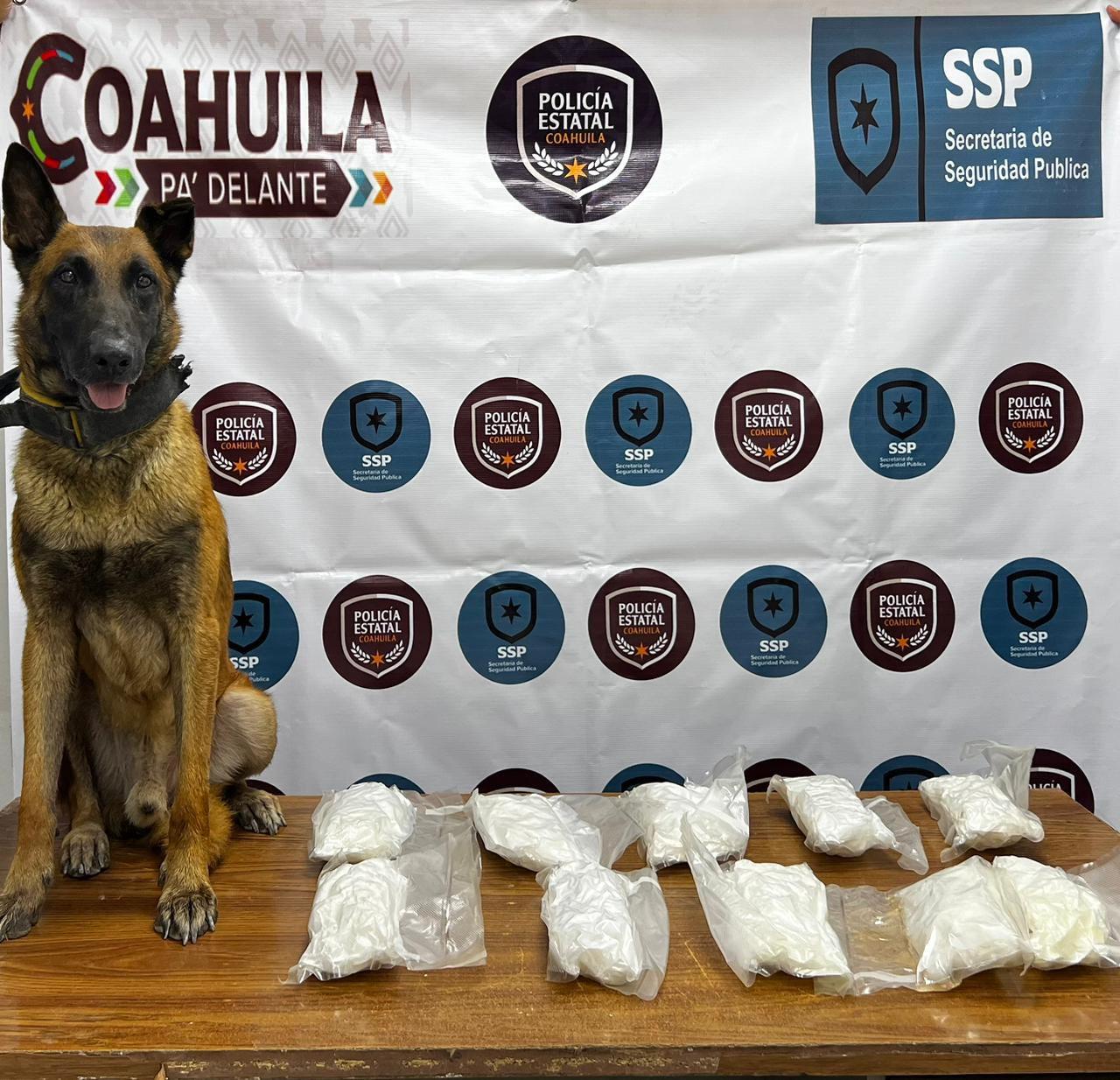 Detecta metanfetamina elemento canino estatal