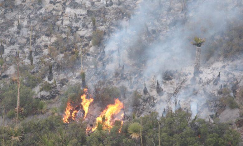 Controlado el 40% de incendio forestal