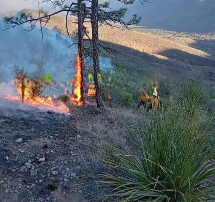 Provoca rayo incendio en Sierra de Santa Rosa