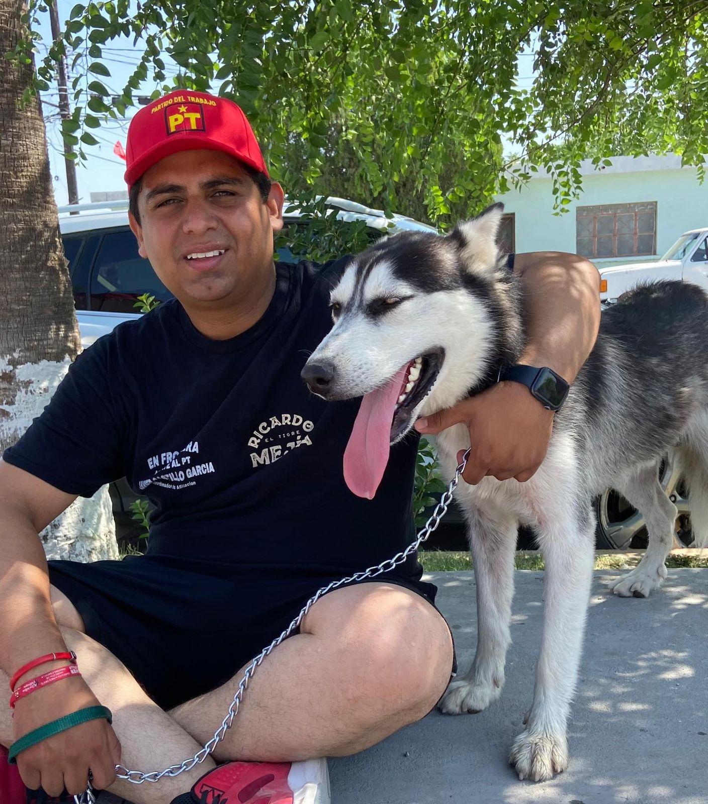 YA LES TOCA A LAS MASCOTAS