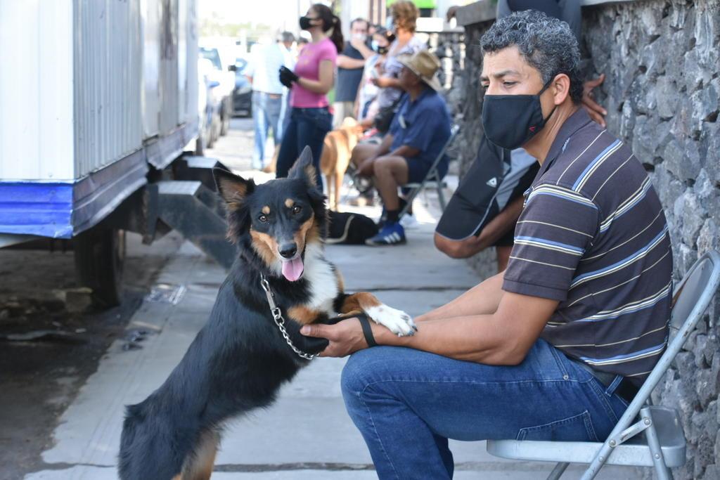 Protegen familias a sus perros y gatos