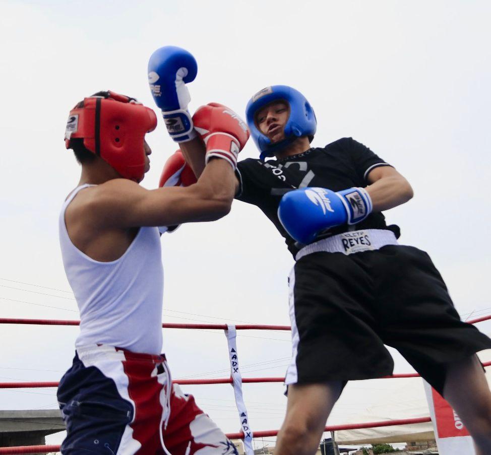 Sigue torneo de box Auténticos Novatos