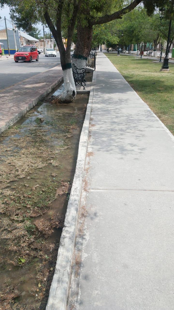 Cuida San Buena espacios públicos