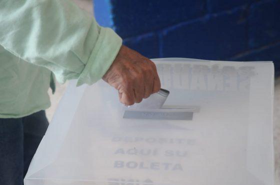 Propone IP hacer obligatorio el voto