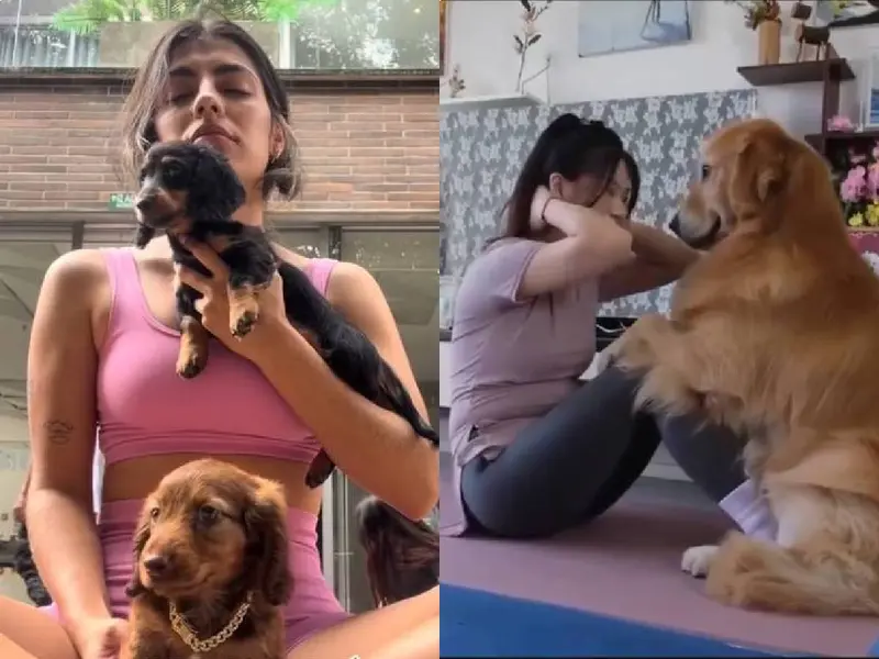 ¿Qué es el yoga con perritos y por qué Italia lo acaba de prohibir?