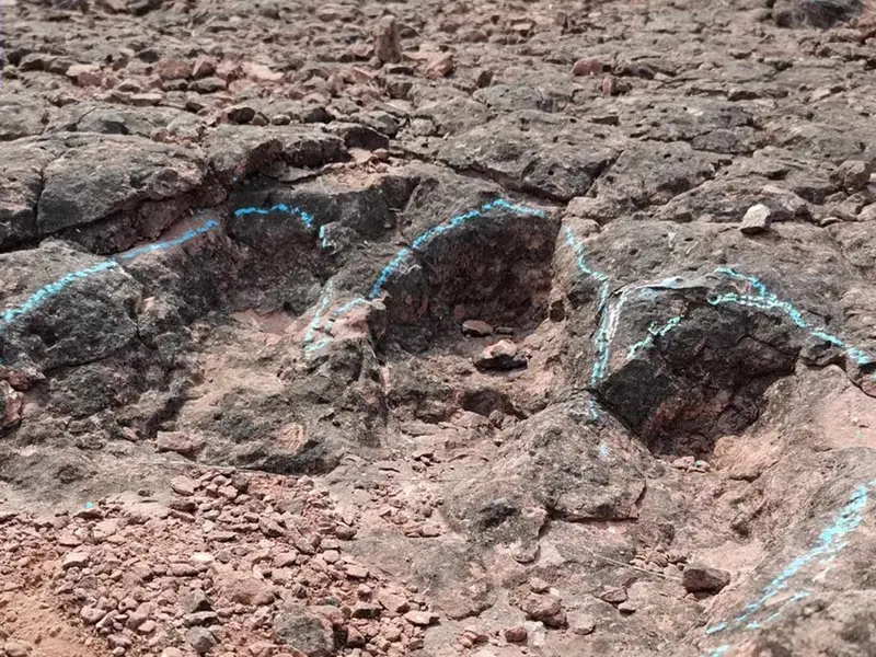 Hallan más de 400 fósiles de huellas de dinosaurio del período Cretácico en China