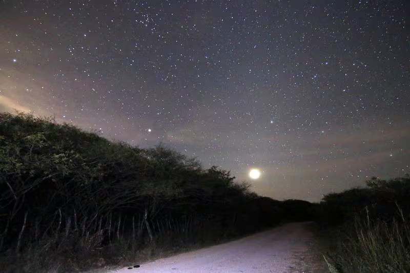 Lluvia de Estrellas Eta Acuáridas: ¿Cuál será el mejor día para admirarla en el firmamento?