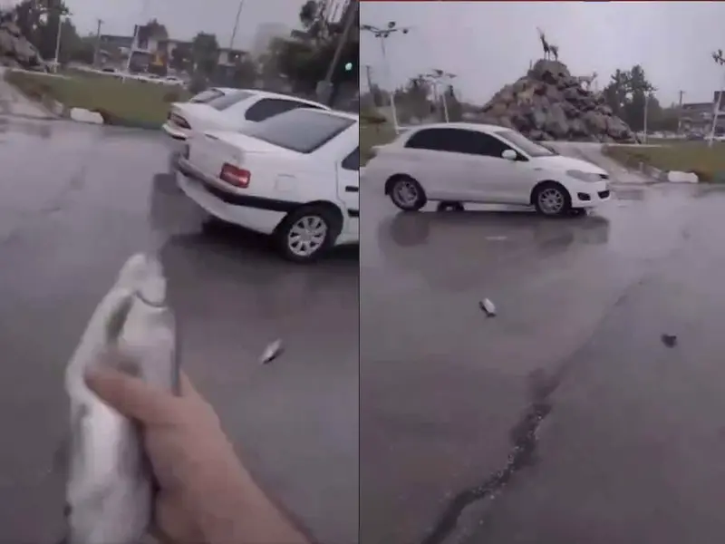 Captan inquietante lluvia de peces en Irán ¿Por qué ocurrió?