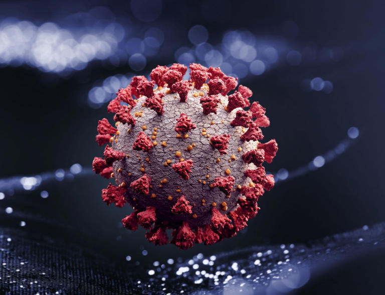 “FlirRT” el nuevo virus que atenta contra las vías respiratorias