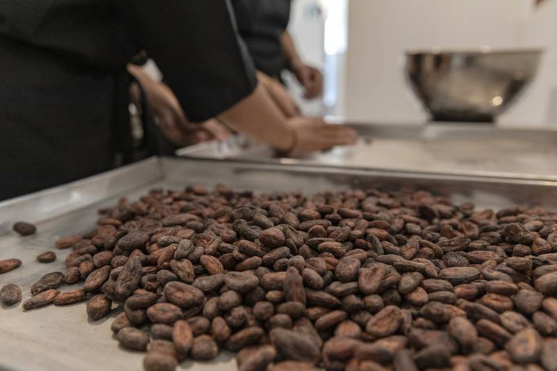 Precios del cacao ‘en picada’: ¿Cómo impactarán a los costos del chocolate?