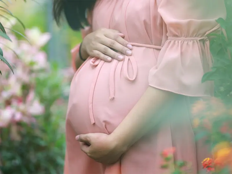 Dieta alta en grasas trans puede afectar negativamente a la fertilidad femenina