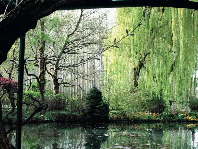 Naturaleza artística