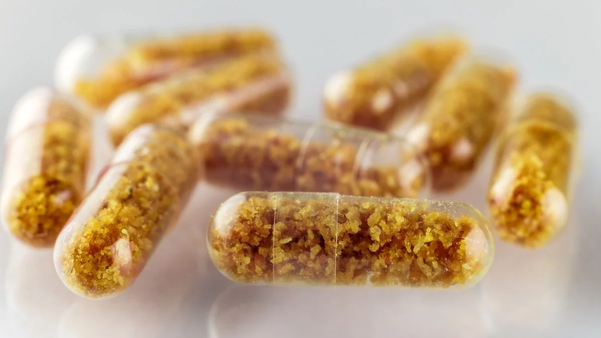 Trasplante de microbiota fecal puede proporcionar inmunidad protectora contra el cáncer