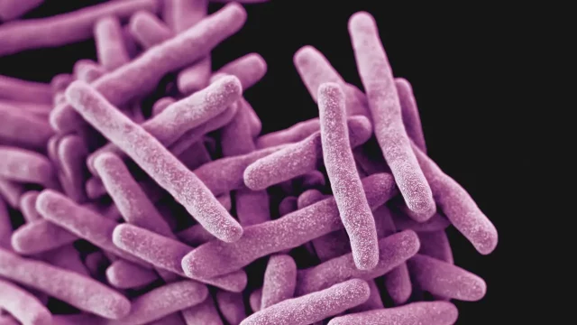 OMS publica una lista de 15 bacterias peligrosas por su resistencia a los antibióticos